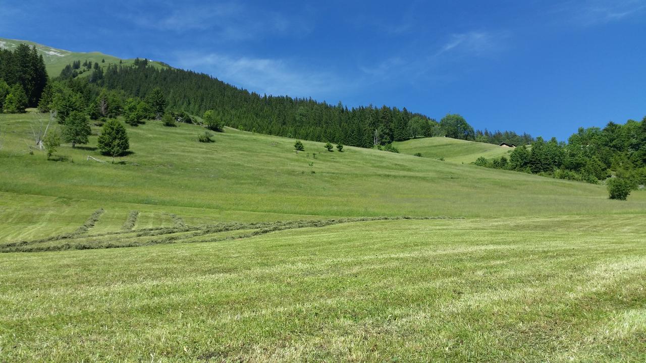 Auszeit Chalets Bschlabs Dış mekan fotoğraf