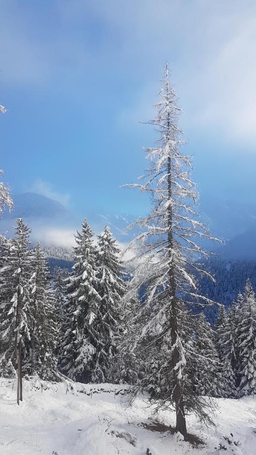 Auszeit Chalets Bschlabs Dış mekan fotoğraf